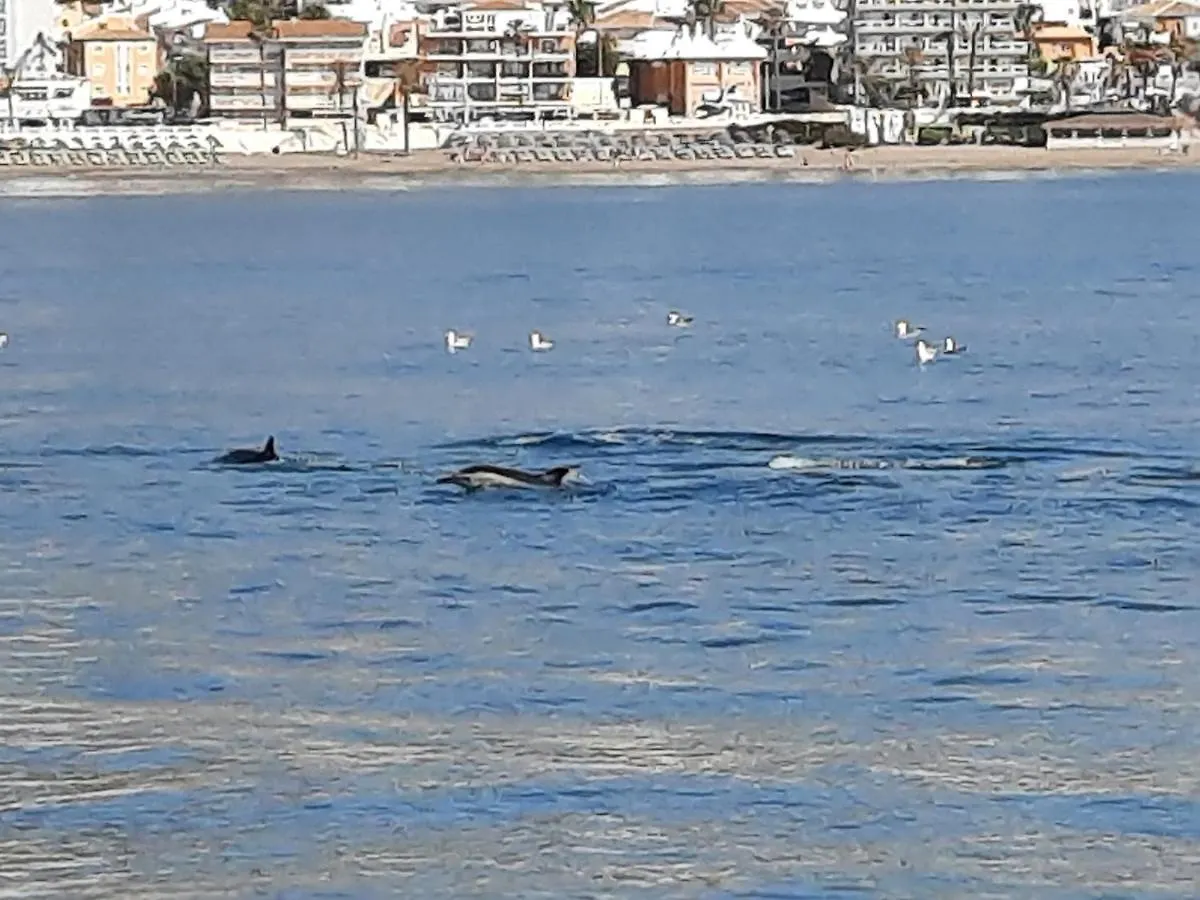 Casa Blue Sea Villa Benalmádena España